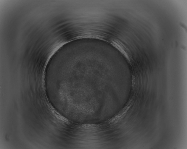 X0000092321068200710051252