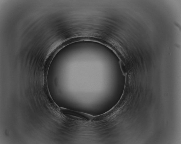 X0000092321069200710051252