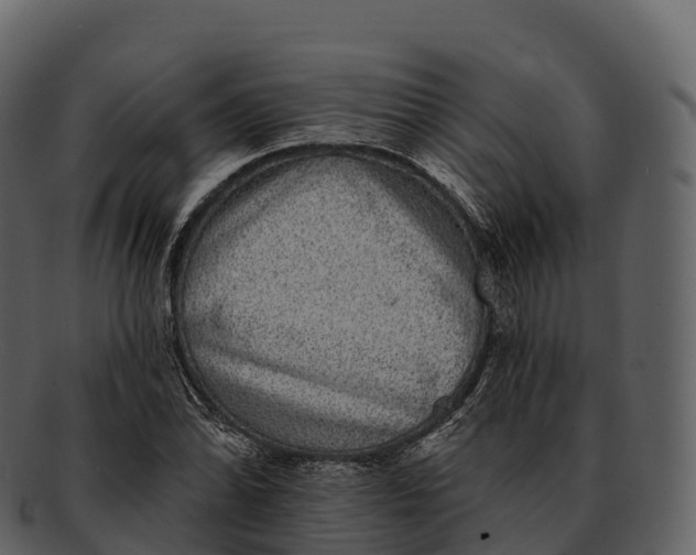 X0000092321070200710051252