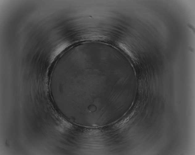 X0000092321071200710051252