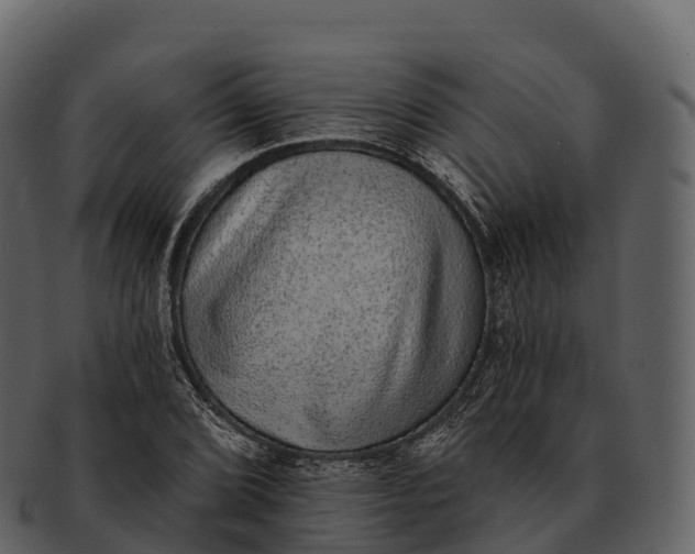 X0000092321072200710051252