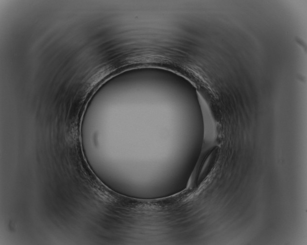 X0000092321073200710051252