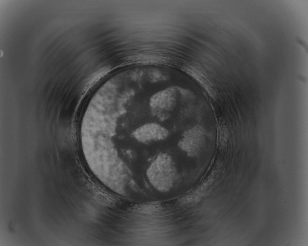 X0000092321074200710051252
