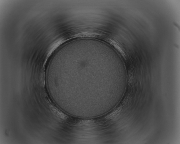 X0000092321075200710051252