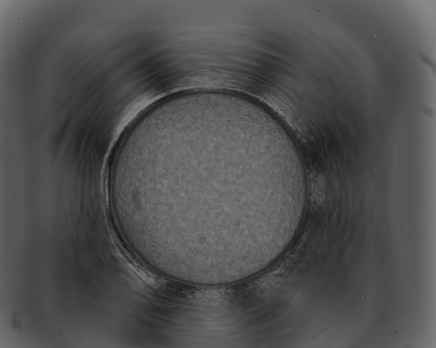 X0000092321078200710051252