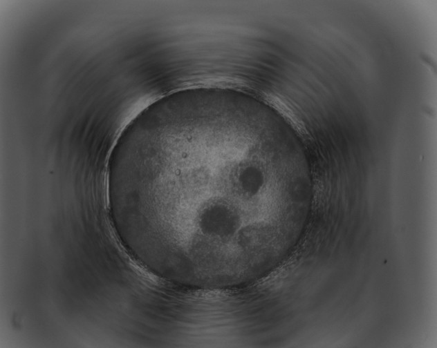 X0000092321079200710051252