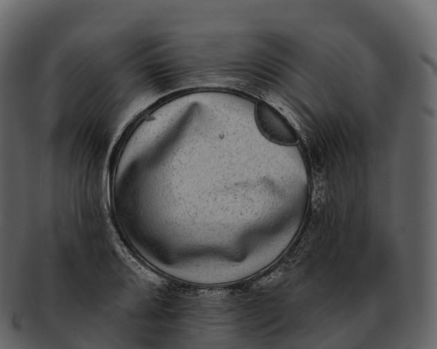 X0000092321080200710051252
