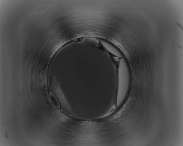X0000092321081200710051252