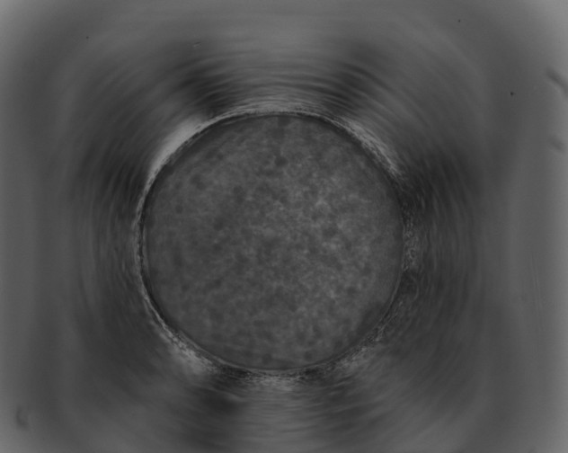 X0000092321086200710051252