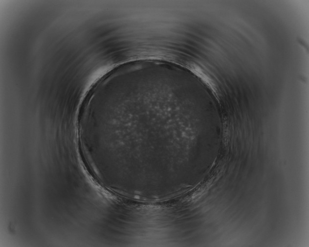 X0000092321088200710051252