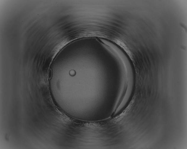 X0000092321089200710051252