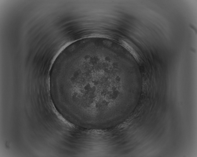 X0000092321092200710051252
