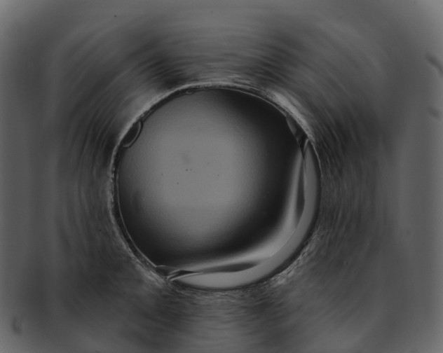 X0000092321093200710051252
