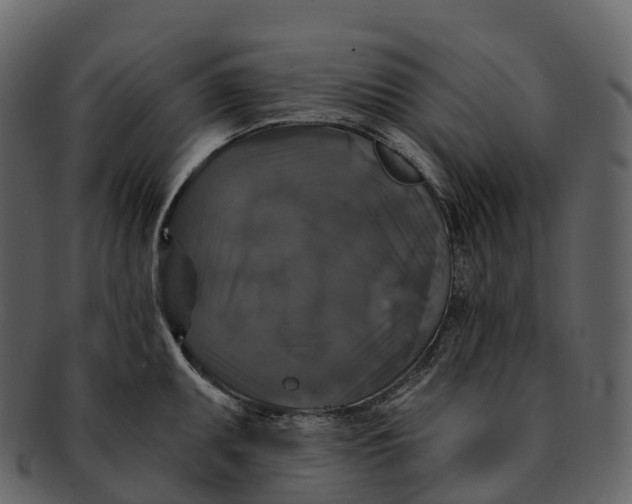 X0000092321095200710051252