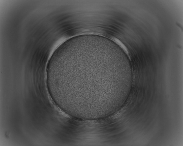 X0000092321096200710051252