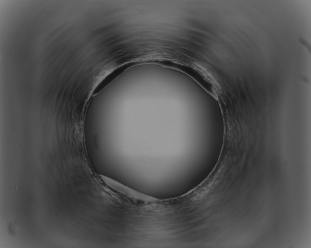 X0000092321097200710051252