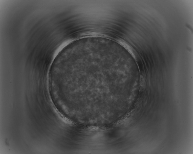X0000092321098200710051252