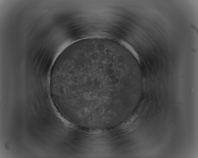 X0000092321099200710051252