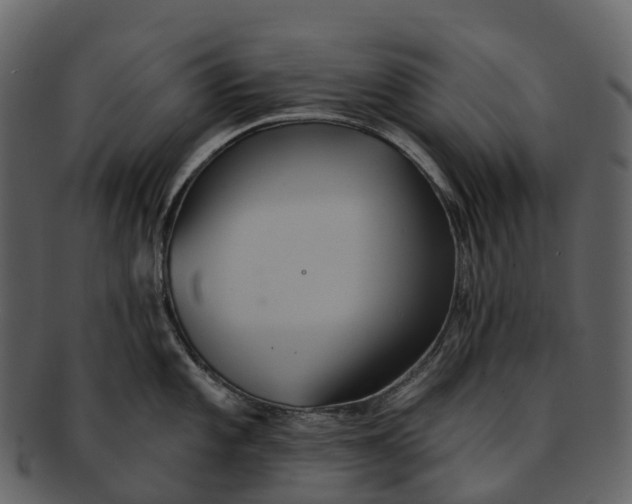 X0000092321101200710051252