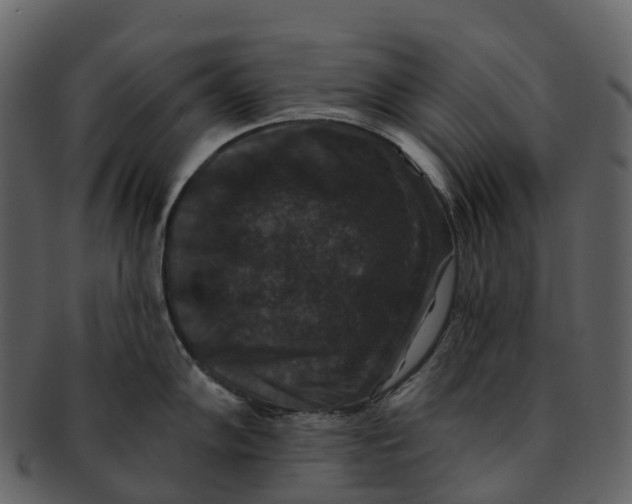 X0000092321102200710051252