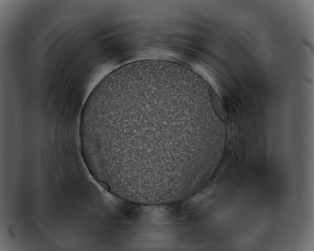 X0000092321103200710051252