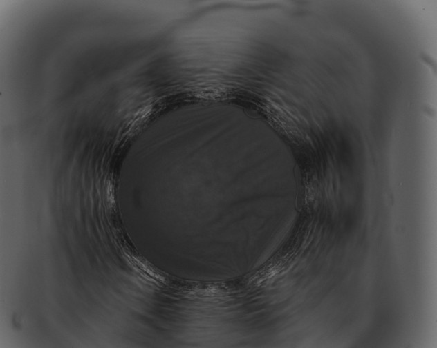 X0000092321106200710051251