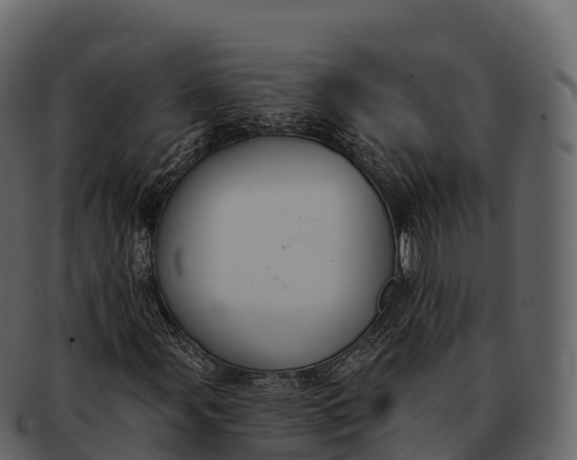 X0000092321107200710051251