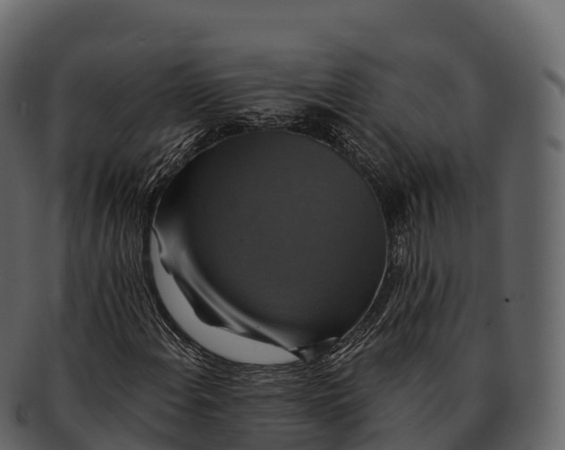 X0000092321108200710051251