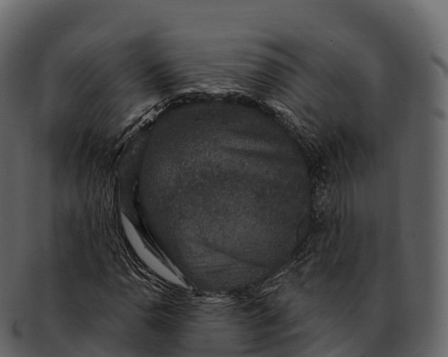 X0000092321110200710051251