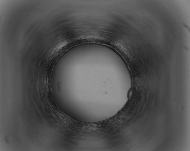 X0000092321111200710051251