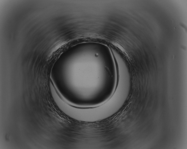 X0000092321112200710051251