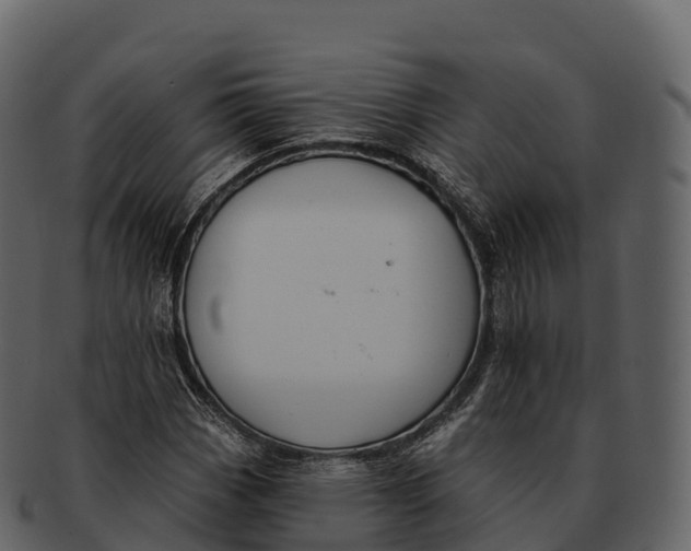 X0000092321113200710051251