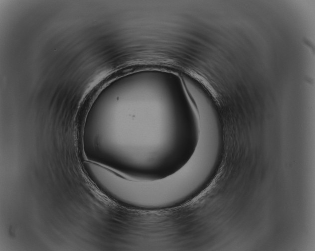 X0000092321114200710051251