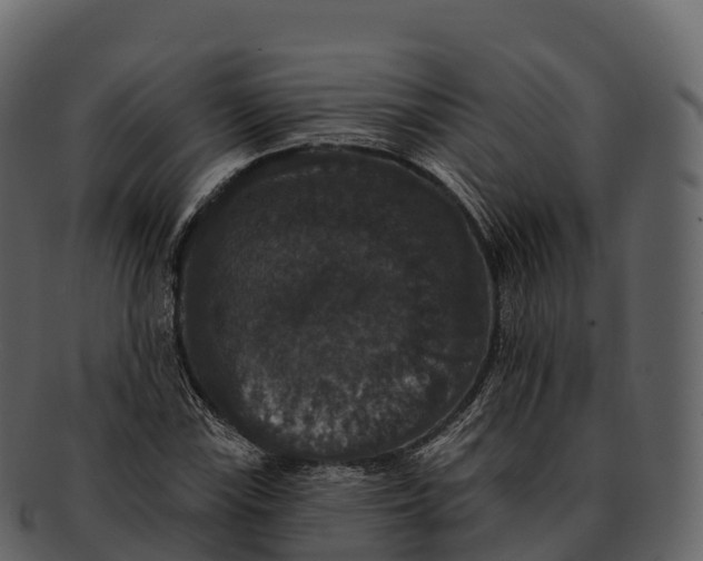 X0000092321115200710051251