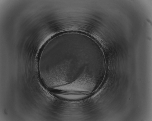 X0000092321118200710051251