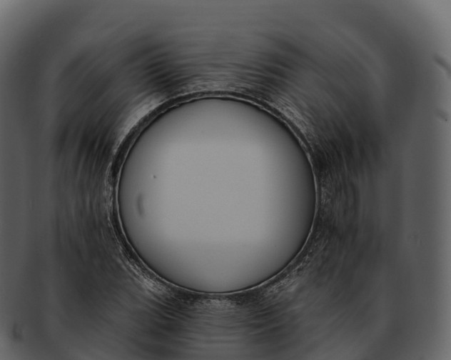 X0000092321119200710051251