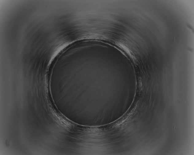 X0000092321120200710051251