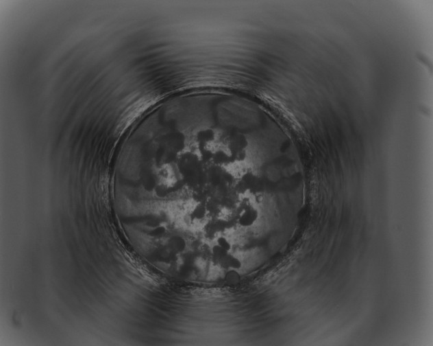 X0000092321121200710051252