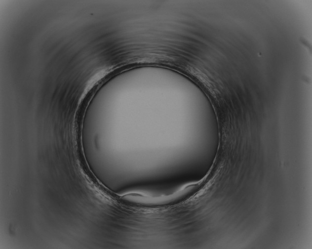 X0000092321122200710051252