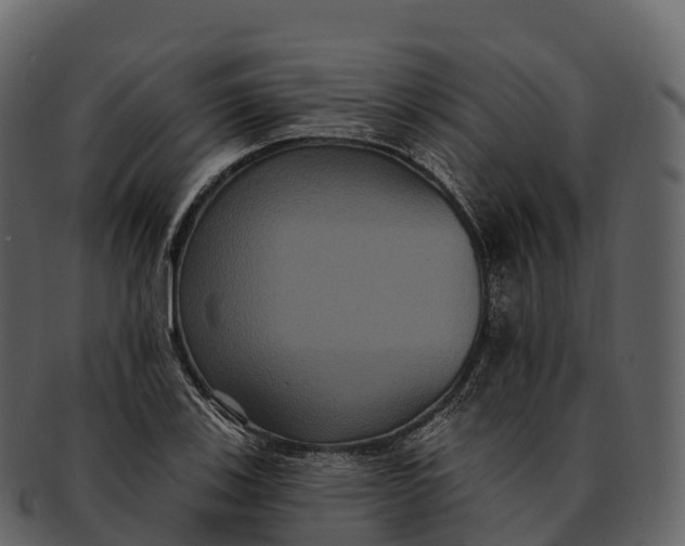 X0000092321123200710051252