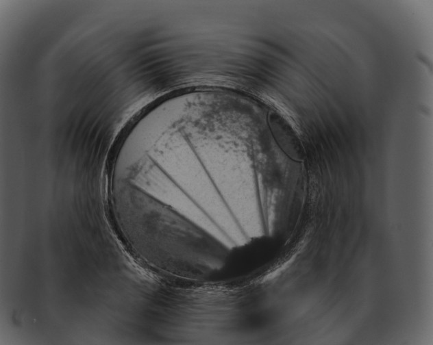 X0000092321125200710051252