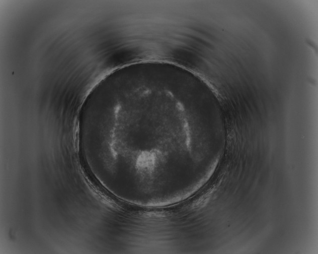 X0000092321126200710051252