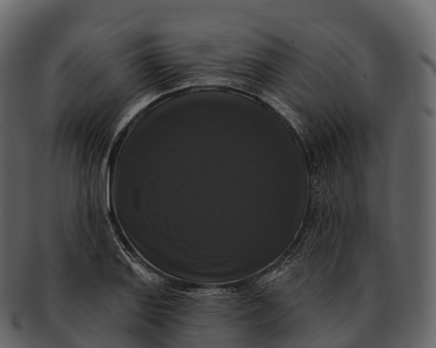 X0000092321127200710051252