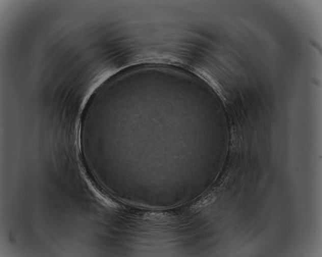 X0000092321128200710051252