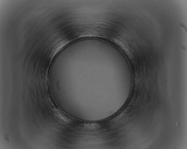X0000092321129200710051252