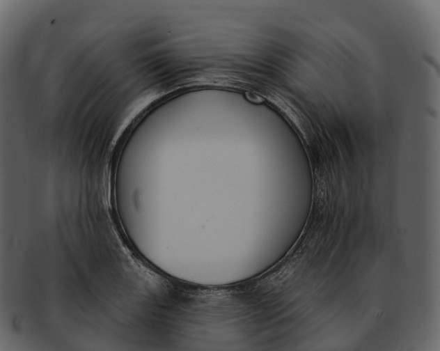 X0000092321131200710051252