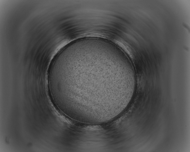 X0000092321133200710051252