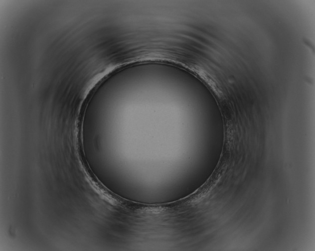 X0000092321134200710051252