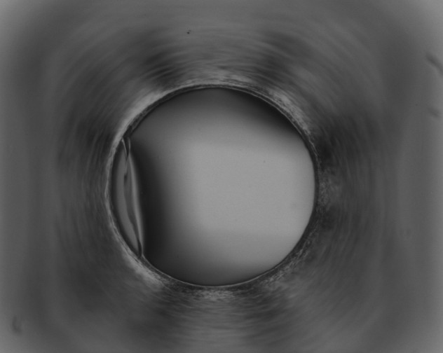 X0000092321136200710051252
