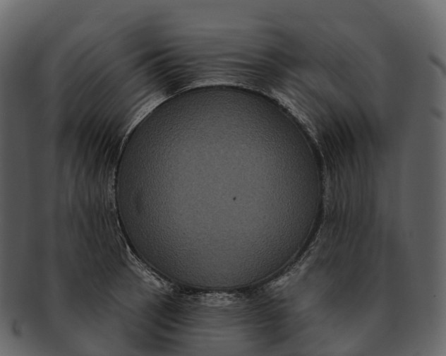 X0000092321137200710051252